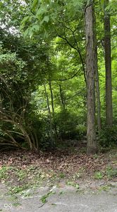 L39 N Woodland Dr, Mooresville, IN, 46158