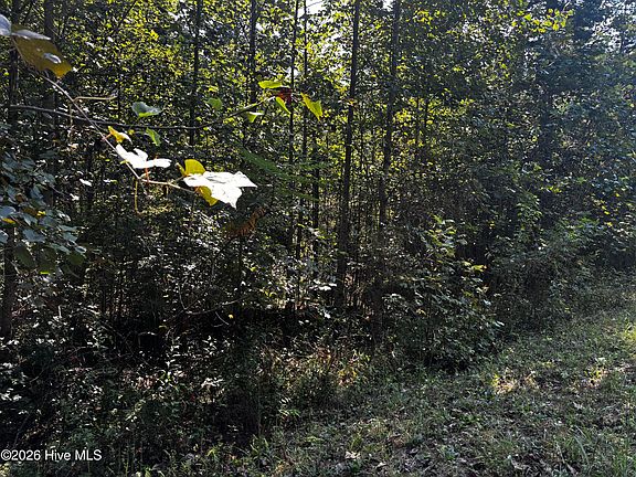 3rd image of 00 Highland Ridge Trail LOT 35