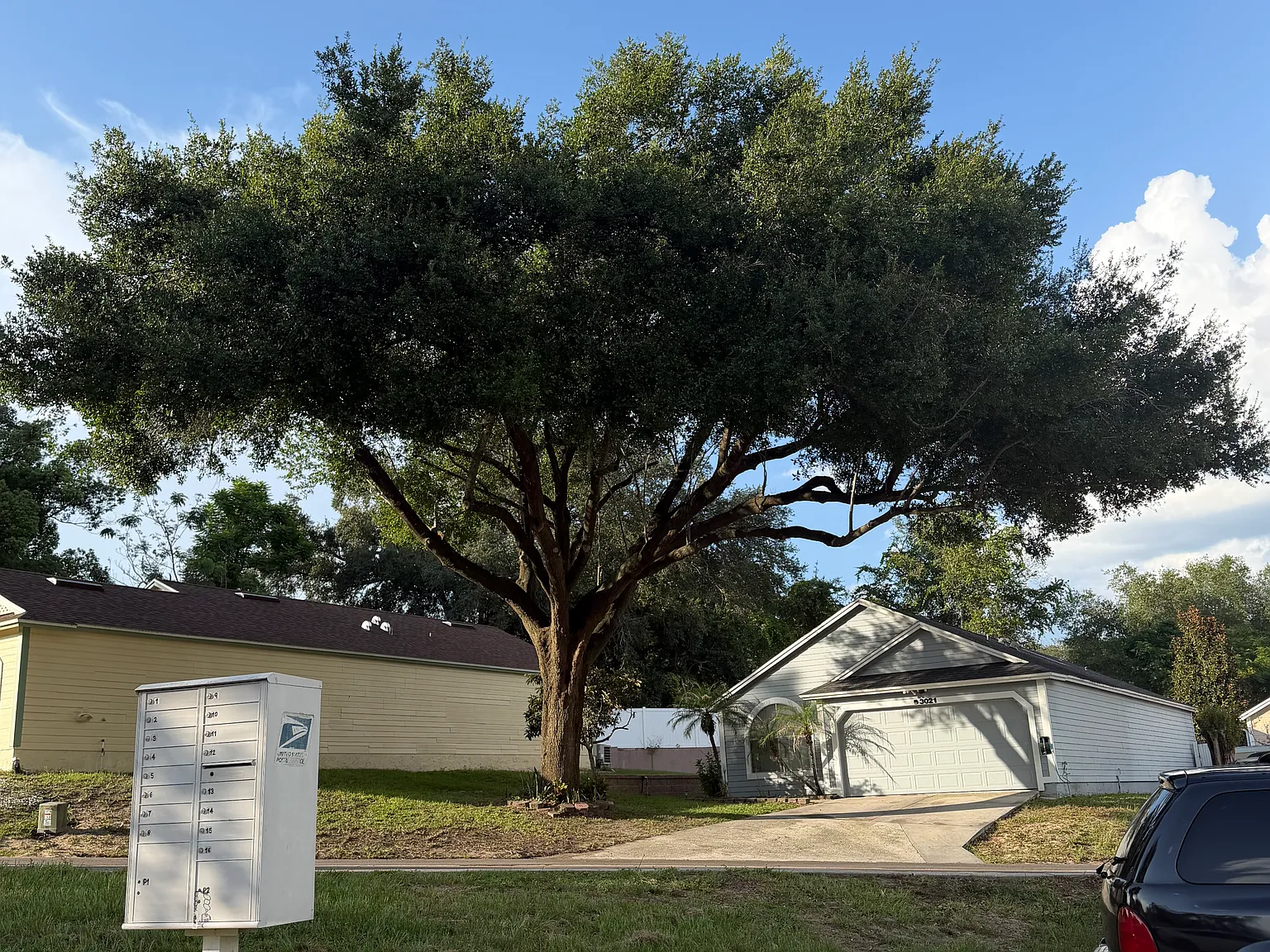 3 bed, 1483 sqft, $2,000 — Photo 2
