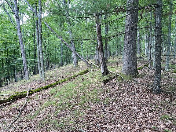 5th image of 22 Ponderosa Pne