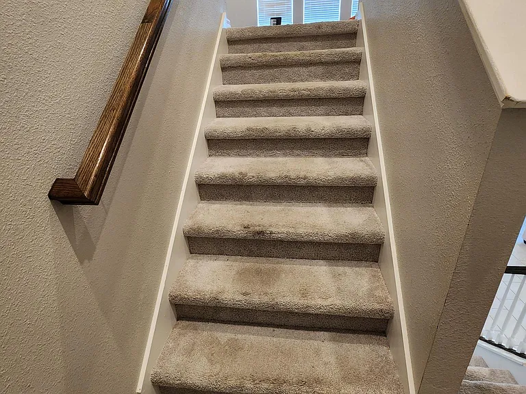 8033 Praise Dr — Photo 28