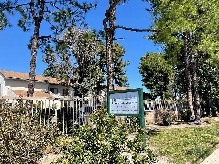 1919Syca — Photo 2