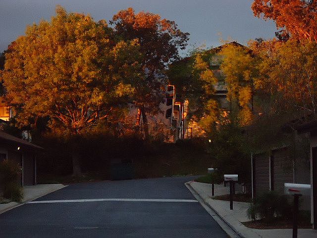 1st image of 8784 1/4 Wyngate St