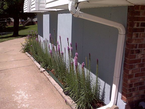 Close up of side flowers
