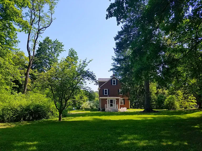 Back yard