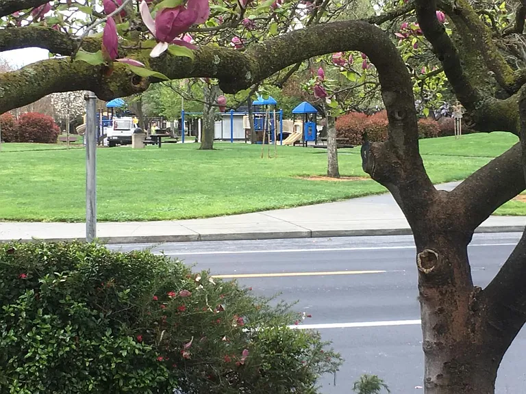 view of the park from inside bedroom