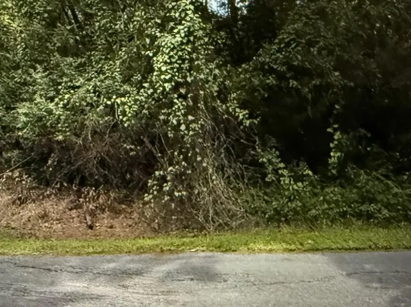 37 Woodside St Lot 37, Childersburg, AL 35044