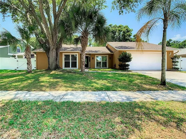 3313 Foxridge Cir, Tampa, FL 33618