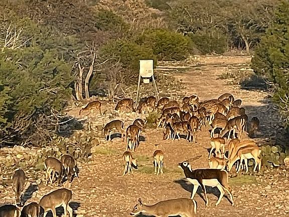 2nd image of 0 Sutton County Rd #317