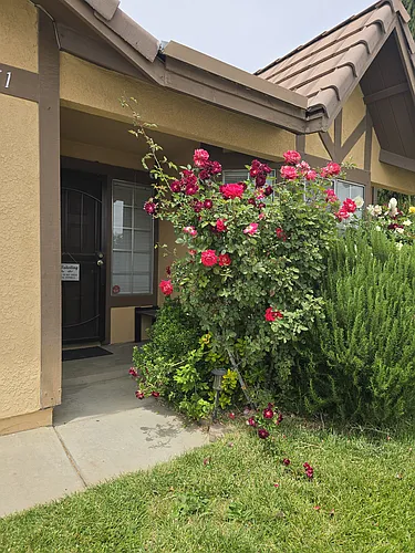 36851 Goldenview Way Photo 1
