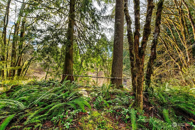 Thumbnail 17