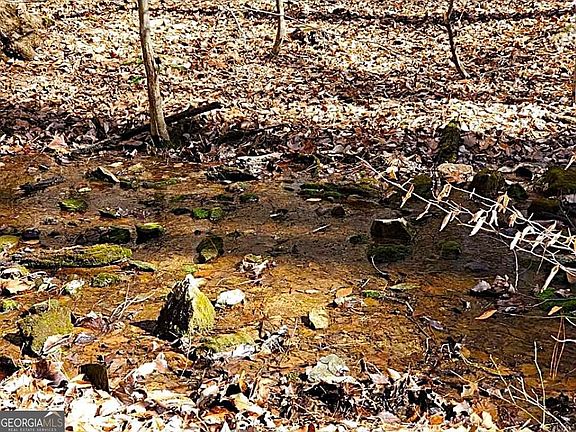 5th image of 0 Overlook Dr