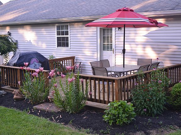 Deck View