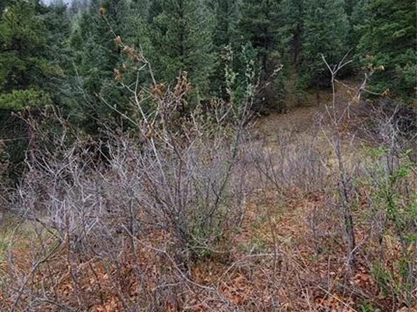 5325 Kulsa Rd, Cascade, CO 80809