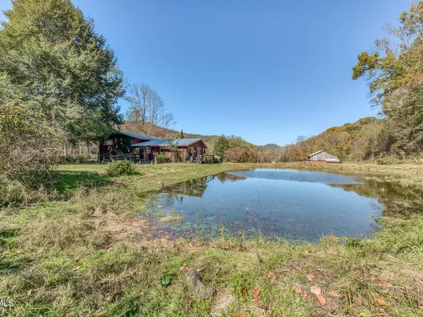 451 Heaton Creek Rd, Roan Mountain, TN 37687