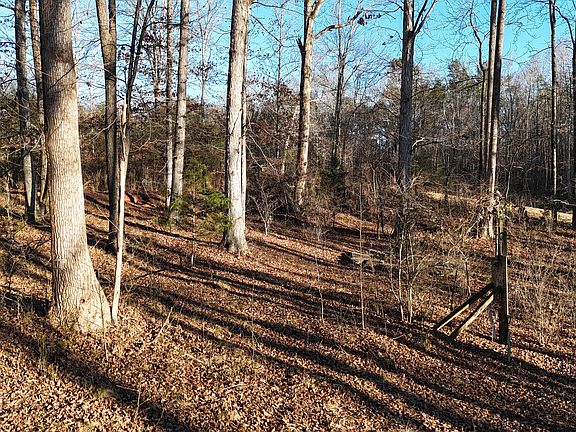 5th image of 151 Sandy Springs Dr