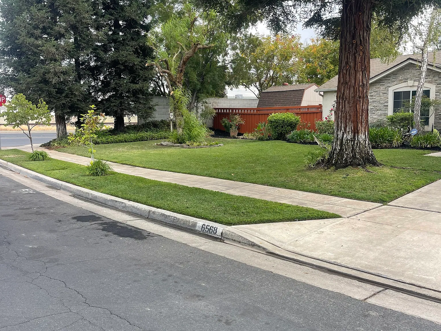 3 bed, 1390 sqft, $2,600 — Photo 2