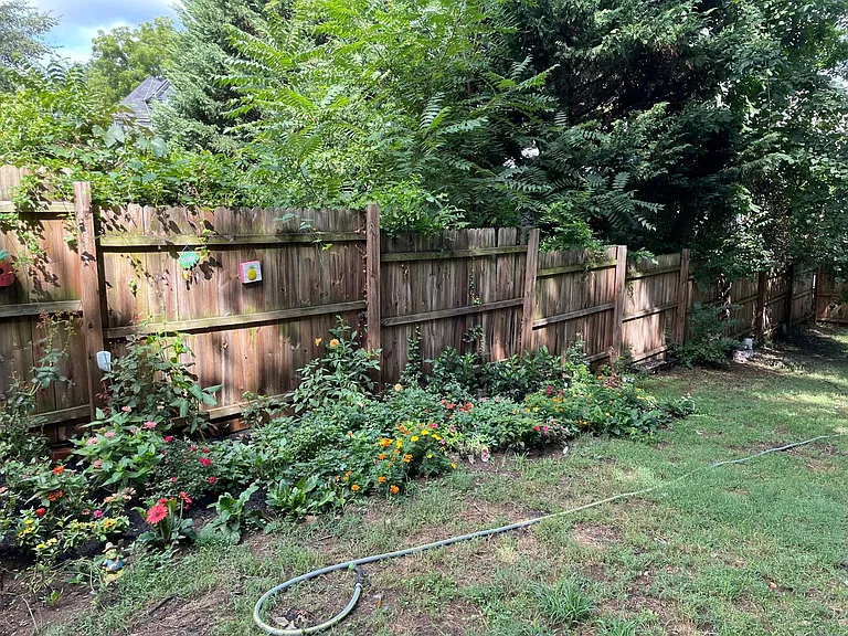 Beautiful Plantings in Shared Backyard!