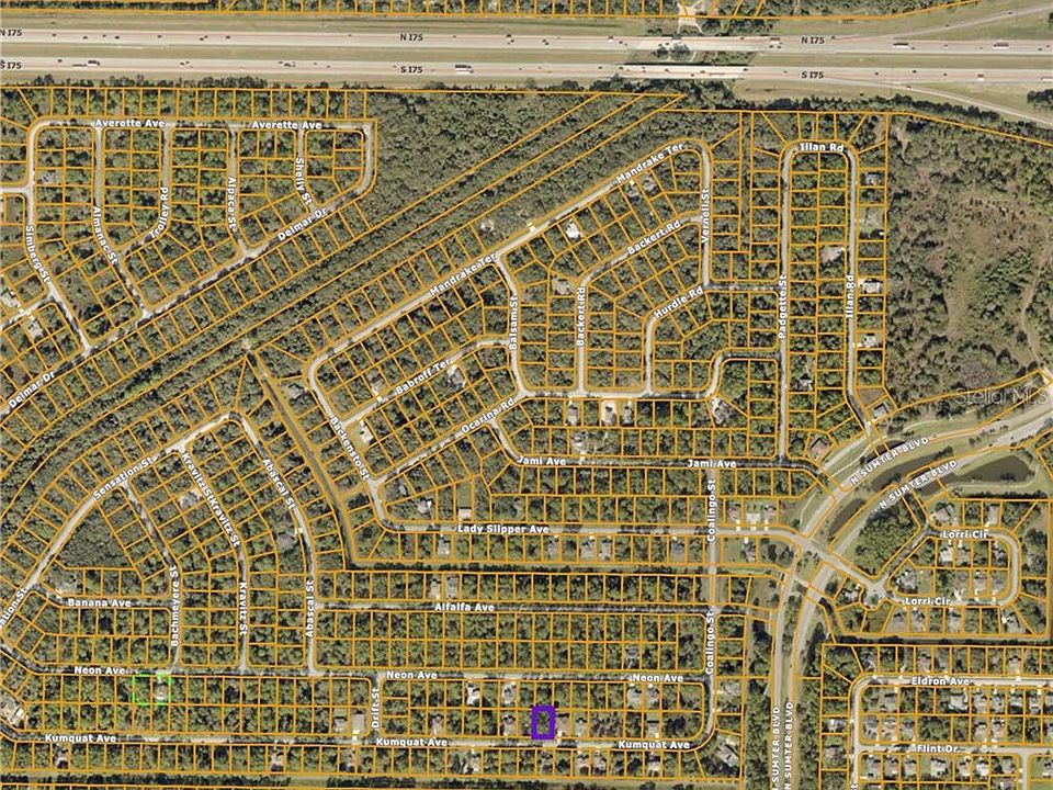 2nd image of Kumquat Ave