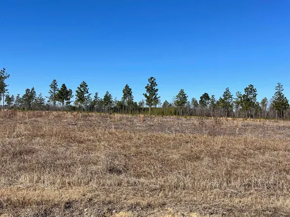 2750 Scarbrough Dr., Loris, SC 29569