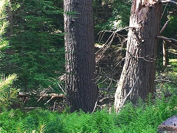 3rd image of Hillside Pl