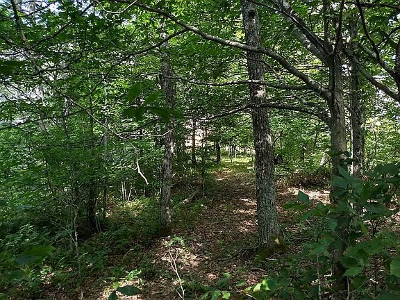 looking at closest house 