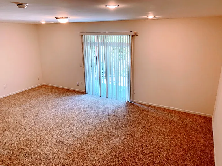 Basement/Bonus Room with full bath