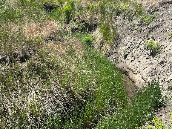 3rd image of 7605 W Black Canyon Rd