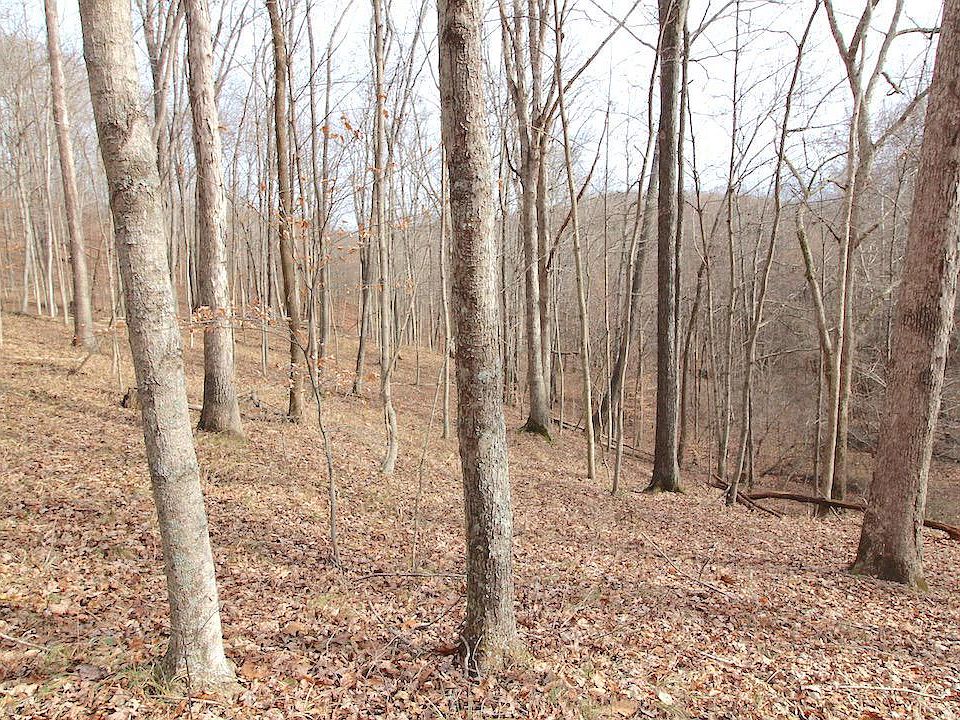 1st image of 1004 Township Road 204