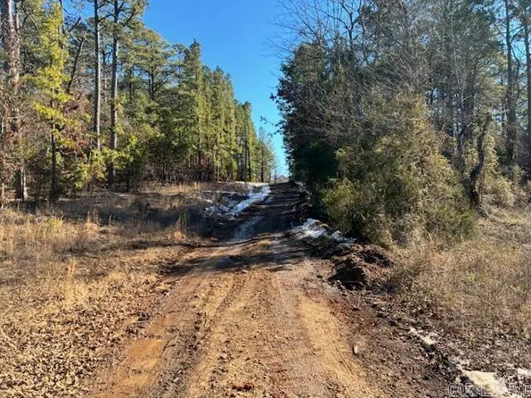 402 Cody Dr, Clinton, AR 72031