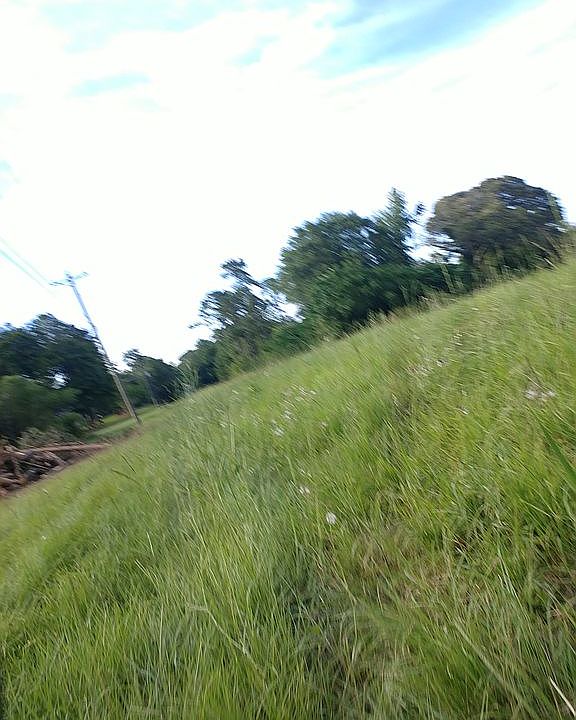 Land is mostly clear no HOA