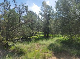 Homestead Trl, Datil, NM 87821