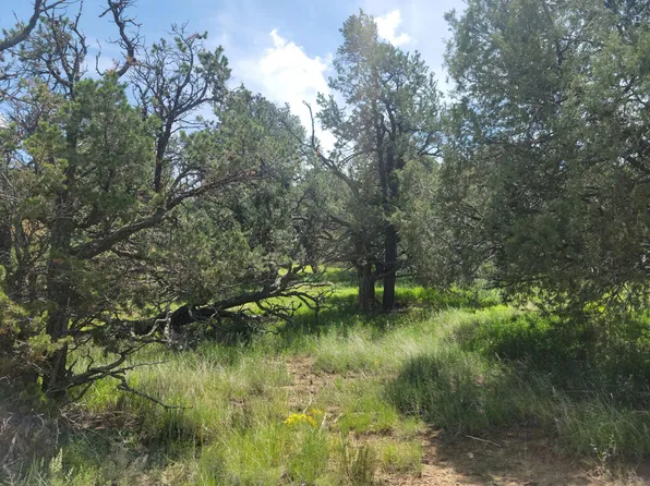 Homestead Trl, Datil, NM 87821