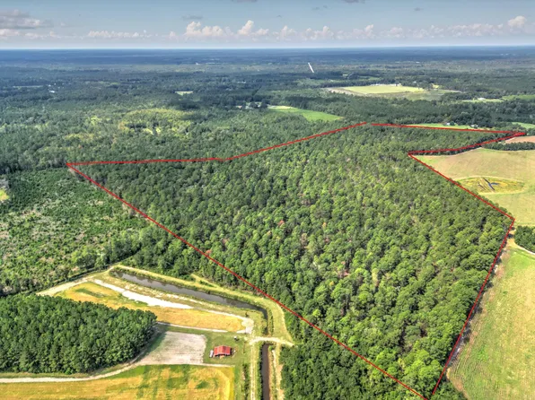0 School House Rd, Ruffin, SC 29475