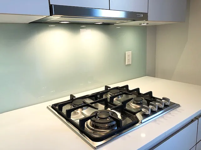 219 Georgia St E #204 — Photo 11
