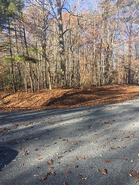 1st image of 48 White Tail Dr