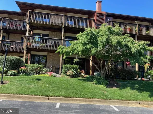763 Fairview Ave APT F, Annapolis, MD 21403