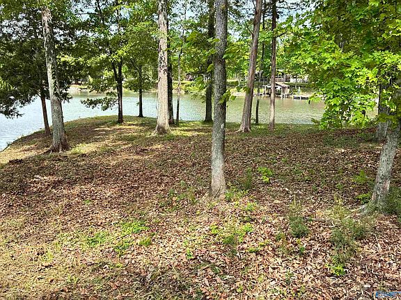 4th image of 1.48 River Cliff Dr