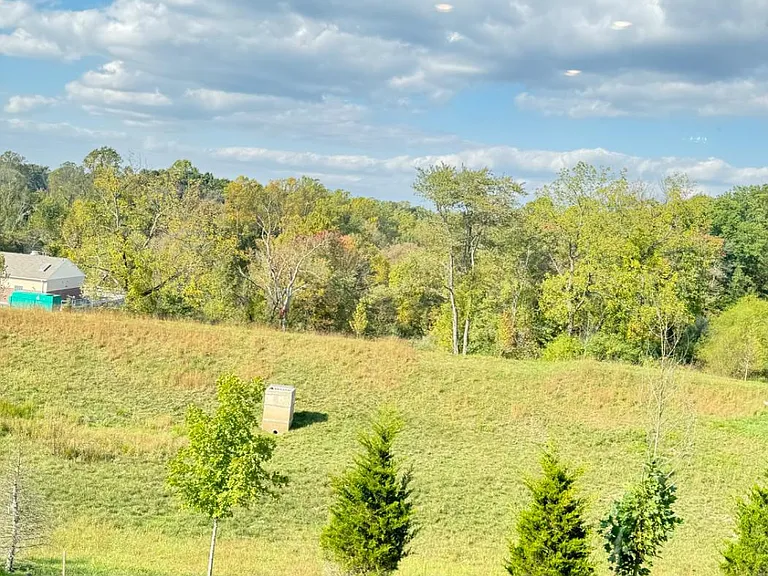 223 Seven Springs Ln — Photo 19