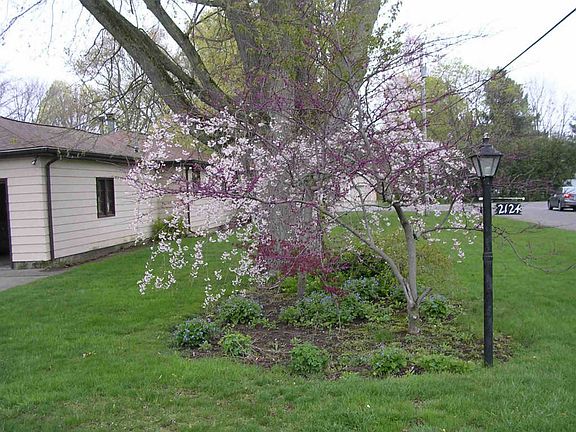 4th image of 2124 Cedar Dr