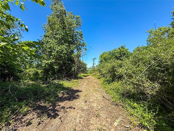 4th image of LOT 1 Altamont Rd