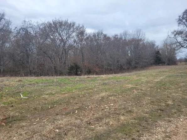 Lot 2 Songbird Road, Washburn, MO 65772