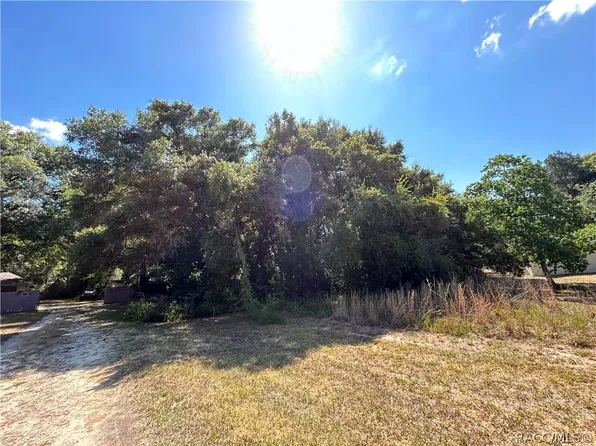 9046 S Tara Point, Floral City, FL 34436