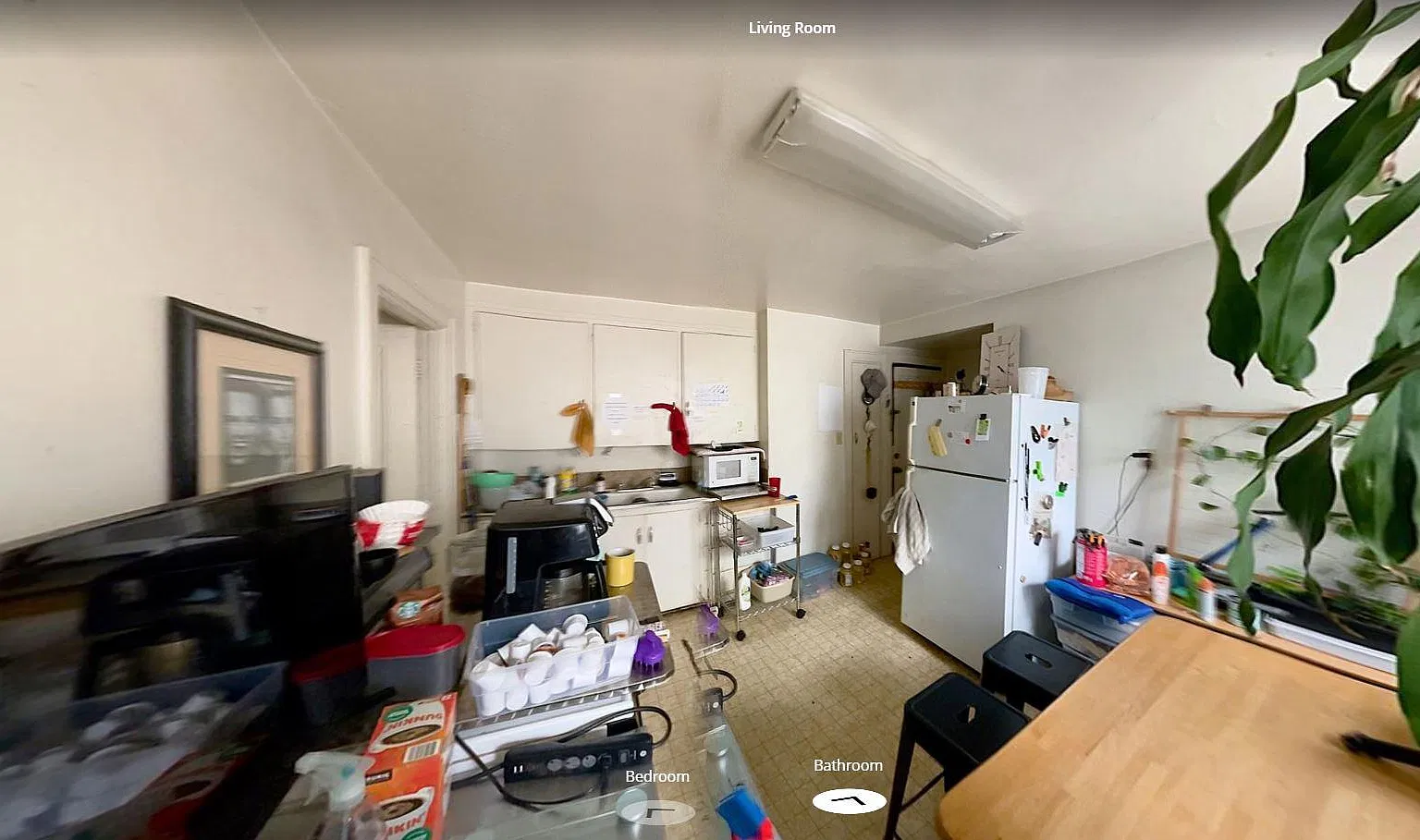 Studio, 525 sqft, $754 — Photo 3