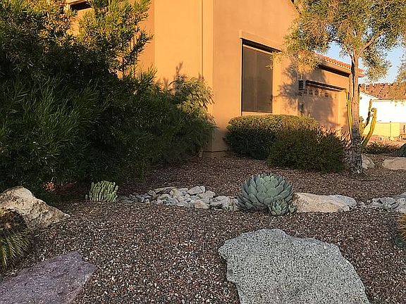 Flowering Desert Landscape