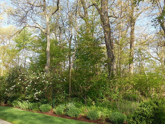 3rd image of 11584 Marquette Dr