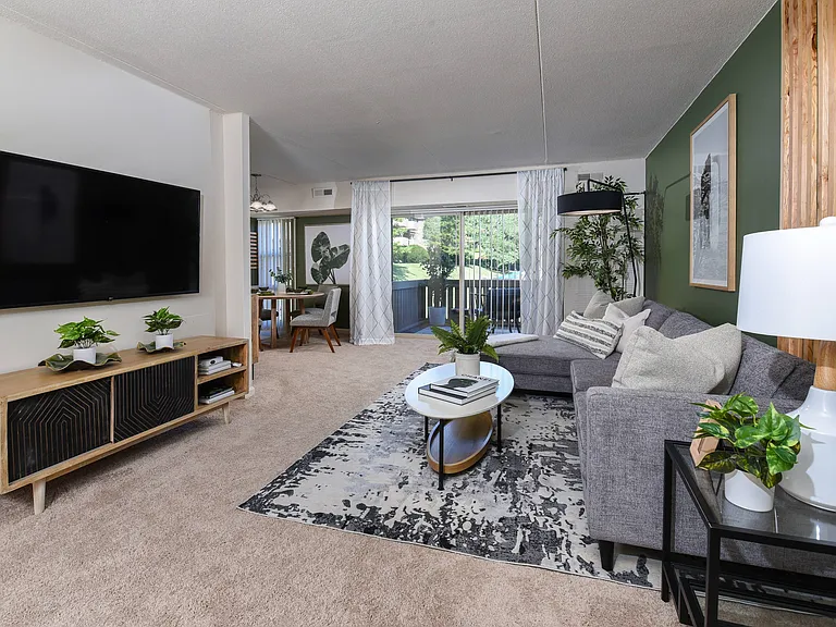 Apartment Living Room