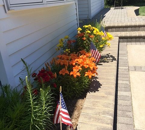 Perennial Garden