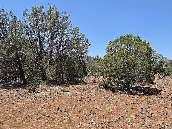 2nd image of 1026 SE Qt Arco Pipeline