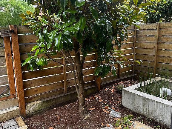 Small front area.